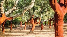 Foto de Corti�a na lideran�a em 2025