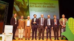 Foto de El maíz de la Península Ibérica, al límite por los costes de producción