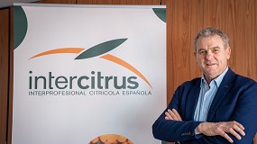 Foto de Entrevista a Celestino Recatalá, presidente de Intercitrus