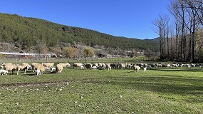 Fotografia de [es] Curso destinado a ganaderos en Arens de Lled� (Teruel) para la valorizaci�n de la lana