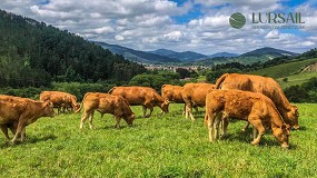 Foto de LURSAIL inicia su actividad como centro de asesoramiento para el sector agrario vasco