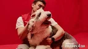 Foto de Generali ofrece consejos de expertos y soluciones para el bienestar de las mascotas