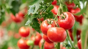 Foto de Resultados do projeto TomAC apresentados a 26 de mar�o