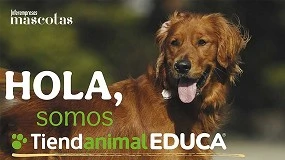 Foto de Casi 3.000 animales encuentran hogar en 2025 gracias a Tiendanimal, que refuerza su impacto social en favor del bienestar de las mascotas
