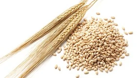 Foto de Lonja de Cereales de Barcelona, Cotizaciones de Cereal (Semana 13, 17/3/2026)