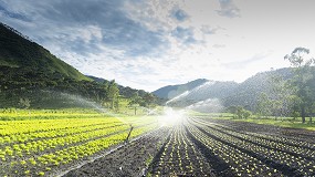 Foto de Expertos del IAS-CSIC dise�an un sistema de control de riego asequible y manejable para cualquier explotaci�n