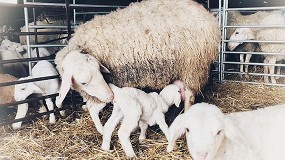 Assafe destaca el trabajo realizado en control lechero y selecci�n de sementales