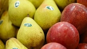 Foto de Portugal Fresh leva a qualidade da fruta portuguesa ao Brasil