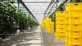 Foto de Las exportaciones espa�olas de flores y plantas crecen un 5 % en 2025 y alcanzan los 743 millones de euros