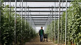 Foto de COAG reclama más ayudas al Gobierno ante el encarecimiento de los plásticos y para el gasóleo en apicultura