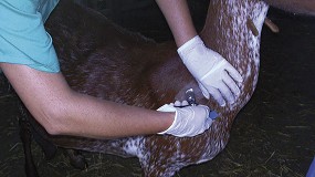 Foto de La Rioja convoca ayudas para las explotaciones ganaderas afectadas por tuberculosis