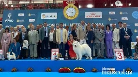 Foto de Valladolid reunirá a los mejores perros de España y Europa en el gran evento canino de esta primavera