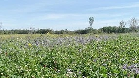 Foto de �As Culturas de Cobertura, a Biodiversidade e a Vida do Solo�