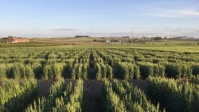 Foto de Jerez de la Frontera acoge las X Jornadas GENVCE