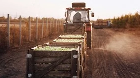 Foto de Produ��o e distribui��o lan�am apelo conjunto ao governo portugu�s