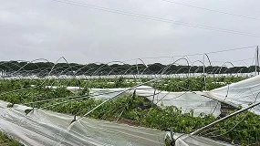 Foto de El MAPA abona 23,9 millones de euros a agricultores y ganaderos perjudicados por las borrascas