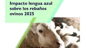 Foto de La lengua azul dispara hasta el 50% la morbilidad y deja un impacto económico duradero
