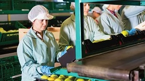 Foto de FIPA pede medidas urgentes para aliviar custos de produ��o