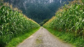 Foto de Governo cria falsas expetativas e falha no apoio aos agricultores