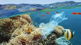 Foto de Investigadores japoneses criam pl�stico � base de celulose que desaparece no mar sem deixar rasto