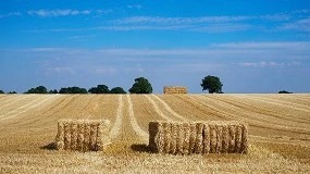 Foto de Los veterinarios proponen reducir el déficit de nitrogenados con residuos de origen ganadero