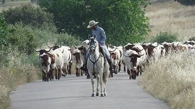 Foto de Unos 200 expertos se reúnen en Madrid por el Año Internacional de los Pastizales y Pastores