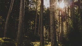 Foto de Navigator refor�a apoio aos produtores afetados pela tempestade Kristin