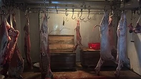 Foto de ASAE desmantela dois matadouros ilegais e apreende mais de duas toneladas de carne
