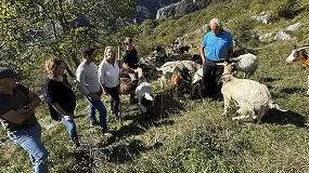 Foto de Cantabria inicia el pago de las ayudas a la ganadería sostenible de ovino y caprino