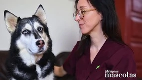Foto de Nutrición canina en criadores: entender la fisiología para elegir mejor
