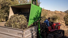 Foto de Sierra M�gina reduce un 22% su producci�n pero mantiene la calidad y recupera ventas