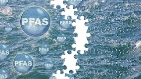 Foto de La ECHA abre la fase decisiva para limitar los PFAS en la UE