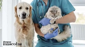 Foto de Tiendanimal explica el ABC de los antiparasitarios y por qué la primavera es la mejor época para desparasitar a perros y gatos