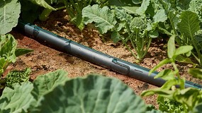 Foto de Cuando cada gota cuenta: el auge del riego inteligente