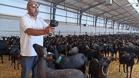 Foto de Estrés térmico en caprino: efecto negativo del frío y el calor en la producción de leche