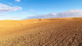 El sector agroalimentario de Castilla y Le�n gana competitividad y supera en un 13% la media nacional