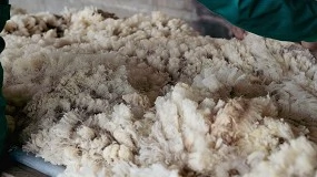 Foto de Rfeagas se suma al Día Europeo de la Lana 2026 para reivindicar su valor y su sostenibilidad