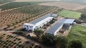 Foto de Exportar genética: el modelo de éxito de una granja referente