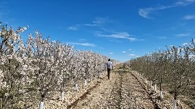 Foto de Aragón articula un programa de financiación pionero para impulsar el relevo generacional