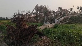 Foto de IP: refor�ada a articula��o com o comando de preven��o de inc�ndios