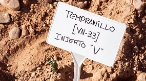 Foto de Dominio D’Echauz reúne 16.000 biotipos y refuerza la biodiversidad del viñedo español