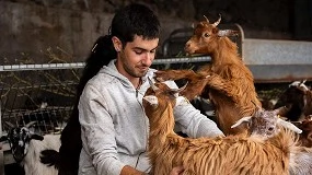 Foto de Las barreras estructurales que frenan las incorporaciones al sector caprino en Canarias
