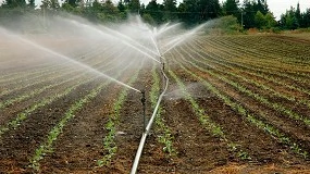 Foto de Arranca la campaña de riego en la cuenca del Duero con los embalses al 88%