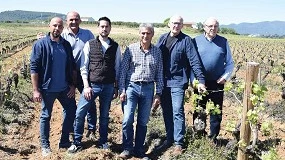 Foto de La candidatura de Viticultors del Cava defiende que la DOP Cava garantice precios por encima de los costes de producción