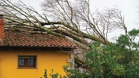 Foto de Governo pede apoio europeu ap�s preju�zos com tempestades