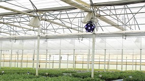 Foto de Cuando la Tuta deja de ser una preocupaci�n en el semillero