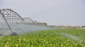 Foto de Andaluc�a aplaza pagos del agua de 2025 a regantes afectados por las borrascas