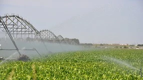 Foto de Andalucía aplaza pagos del agua de 2025 a regantes afectados por las borrascas