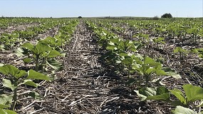 Foto de Europa avanza hacia un marco regulatorio �cre�ble y verificable� en el mercado de carbono agr�cola