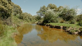 Nestl� Waters regenera m�s de 1,6 millones de m3 de agua
